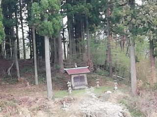 画像に含まれている可能性があるもの:木、屋外